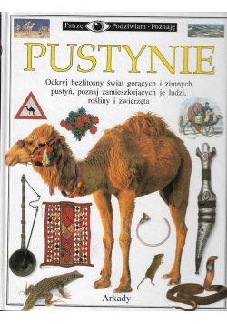 Pustynie Patrzę podziwiam