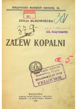 Zalew Kopalni 1908 r.