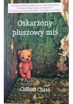 Oskarżony pluszowy miś
