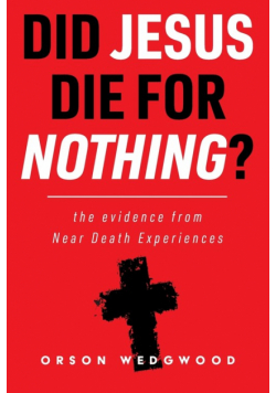 Did Jesus Die For Nothing? The evidence from Near Death Experiences