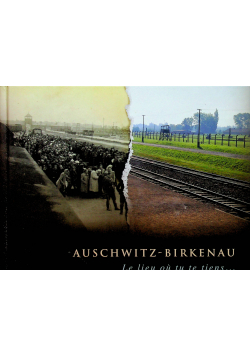 Auschwitz Birkenau Le lieu ou tu te tiens