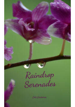Raindrop Serenades