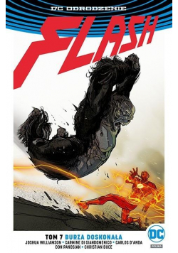 Flash T.7 Burza doskonała
