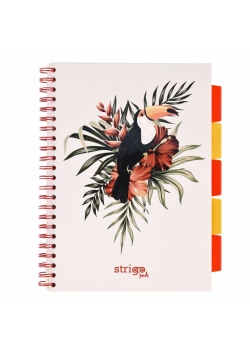 Kołozeszyt Strigo A4 Project Book Pelikan biały kratka