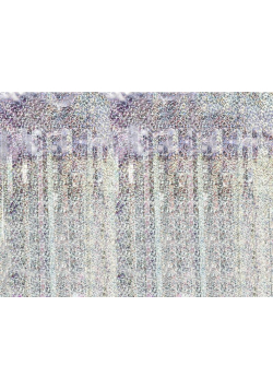 Kurtyna party holograficzny 100x200cm