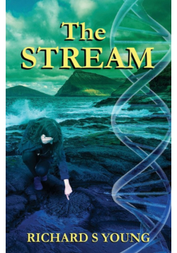 The Stream
