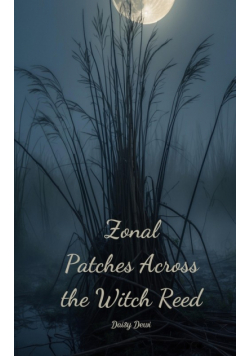 Zonal Patches Across the Witch Reed