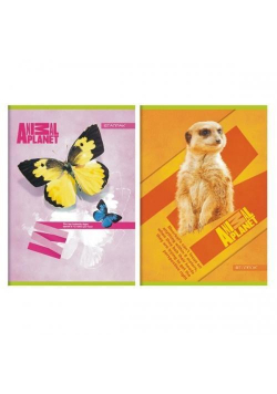 Zeszyt A5/60K kratka Animal Planet (10szt)