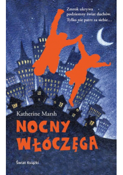 Nocny włóczęga