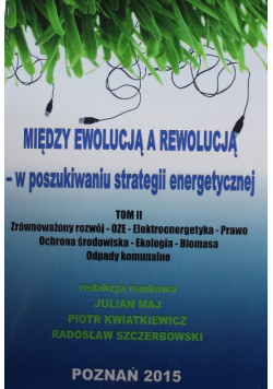 Między ewolucją a rewolucją w poszukiwaniu strategii energetycznej Tom II