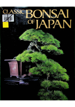 Classic bonsai of Japan