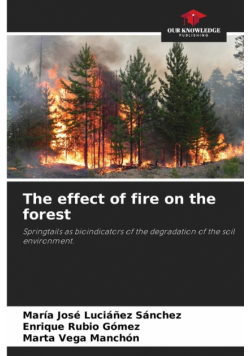 The effect of fire on the forest