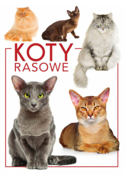 Koty rasowe