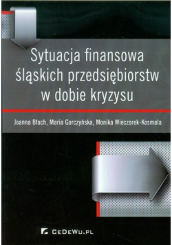 Sytuacja finansowa śląskich przedsiębiorstw w dobie kryzysu