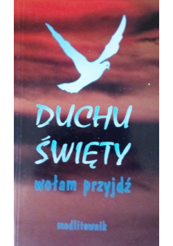 Duchu Święty wołam przyjdź