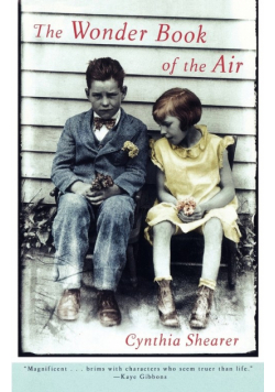 The Wonder Book of the Air