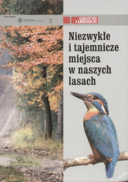 Niezwykłe i  tajemnicze miejsca w naszych lasach