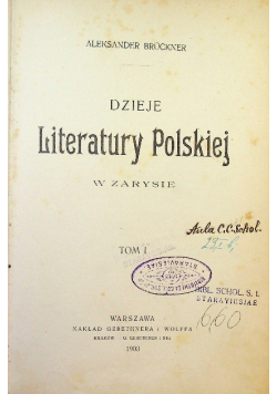 Dzieje literatury polskiej w zarysie Tom I 1903 r.
