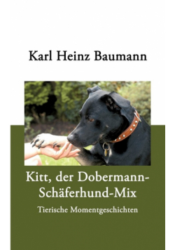 Kitt, der Dobermann-Schäferhund-Mix