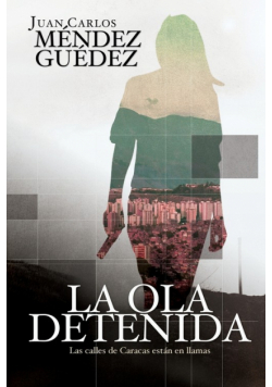 La ola detenida