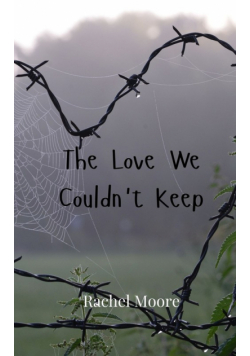 The Love We Couldn't Keep