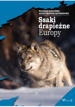 Ssaki drapieżne Europy