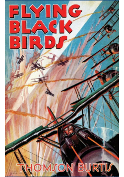 Flying Black Birds