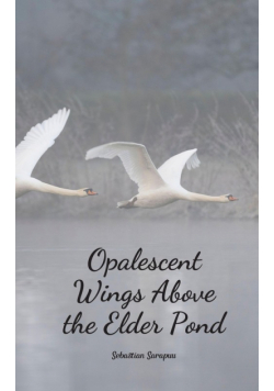 Opalescent Wings Above the Elder Pond