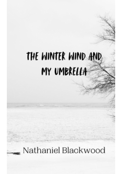 The Winter Wind and My Umbrella