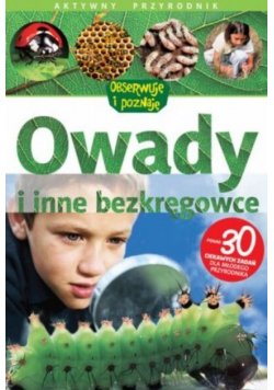 Owady i inne bezkręgowce
