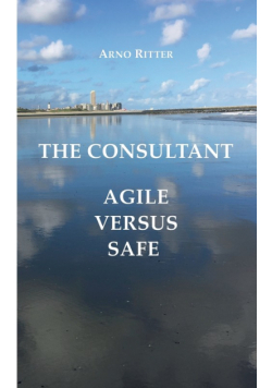 The Consultant