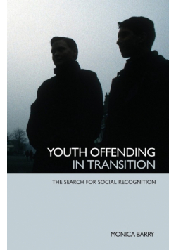 Youth Offending in Transition