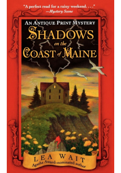 Shadows on the Coast of Maine