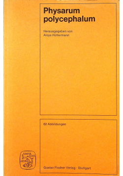 Physarum polycephalum