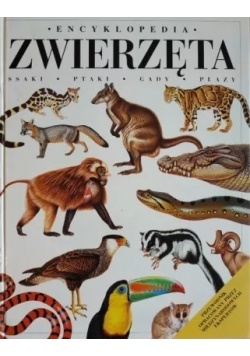 Encyklopedia zwierzęta