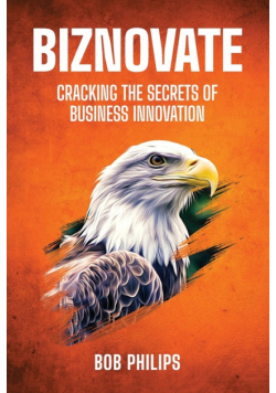 Biznovate