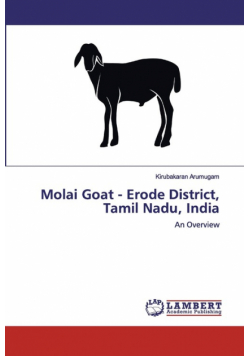 Molai Goat - Erode District, Tamil Nadu, India