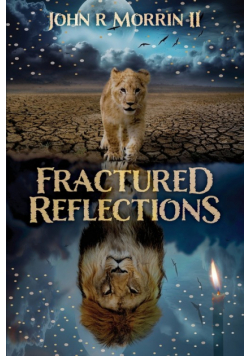 Fractured Reflections