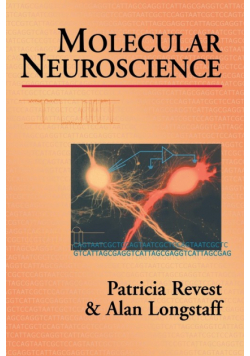 Molecular Neuroscience
