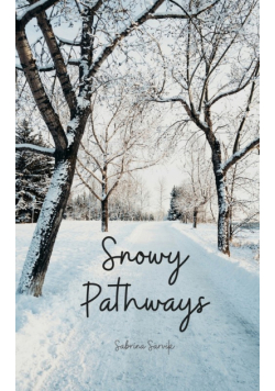 Snowy Pathways