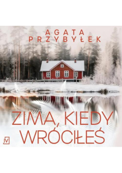 Zima, kiedy wróciłeś