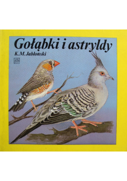 Gołąbki i astryldy