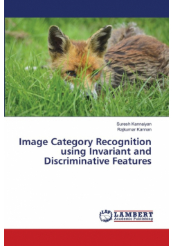 Image Category Recognition using Invariant and Discriminative Features
