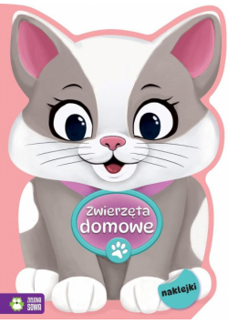 Zwierzęta domowe. Na tropie kolorów