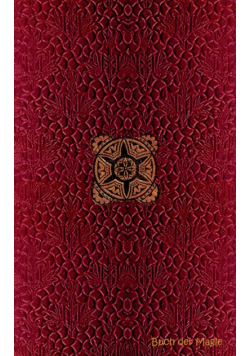 Buch der Magie (Notizbuch)