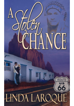 A Stolen Chance