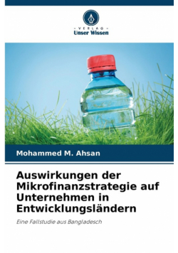 Auswirkungen der Mikrofinanzstrategie auf Unternehmen in Entwicklungsländern