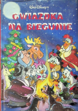 Gwiazdka na biegunie