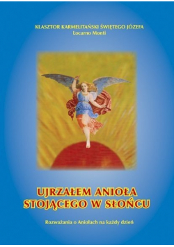 Ujrzałem anioła stojącego w słońcu