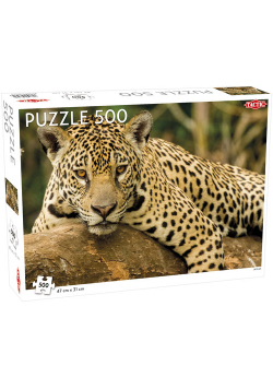 Puzzle Jaguar 500
